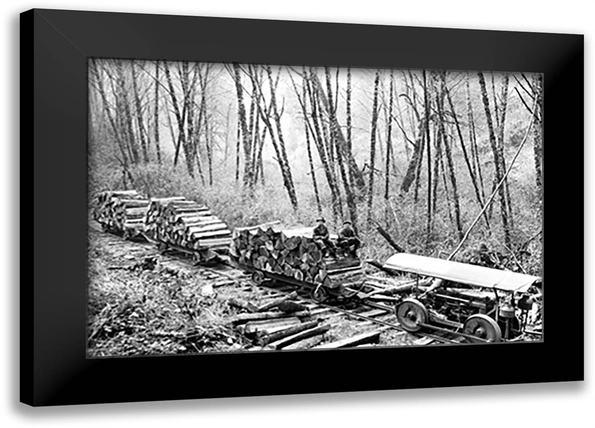 Shingle Bolt 22x16 Black Modern Wood Framed Art Print Poster by Kinsey, Clark