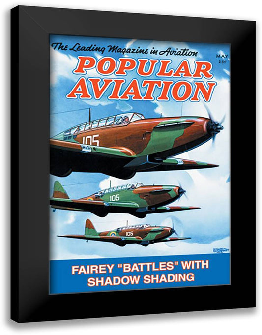 Fairey "Battles" with Shadow Shading 16x22 Black Modern Wood Framed Art Print Poster