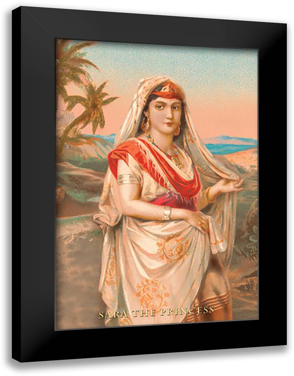 Sara, The Princess 16x22 Black Modern Wood Framed Art Print Poster