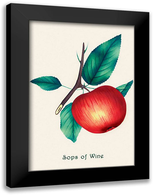 Sops of Wine 16x22 Black Modern Wood Framed Art Print Poster