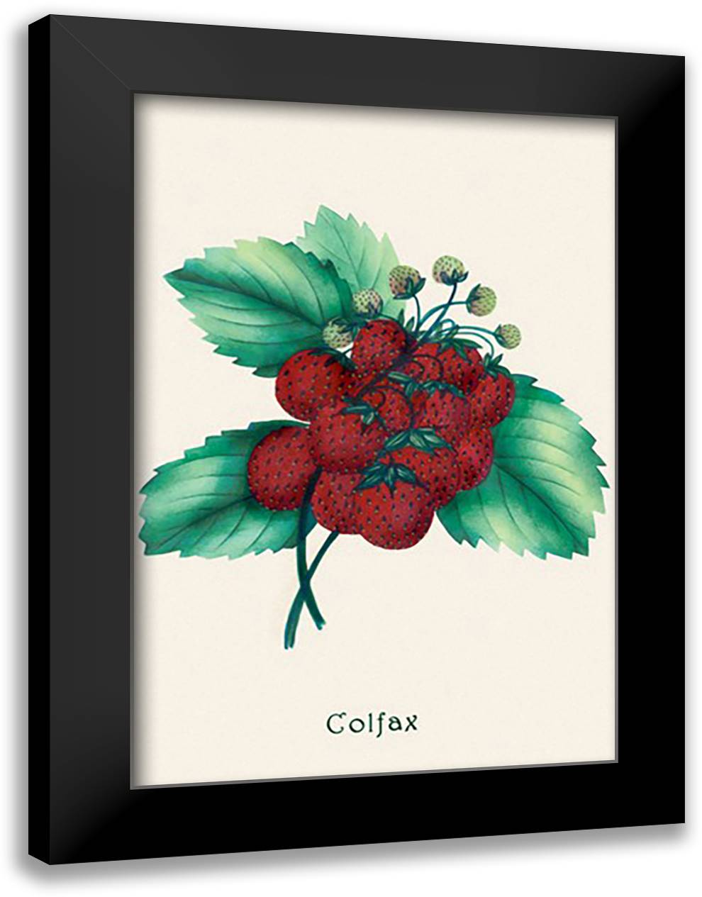 Colfax 16x22 Black Modern Wood Framed Art Print Poster