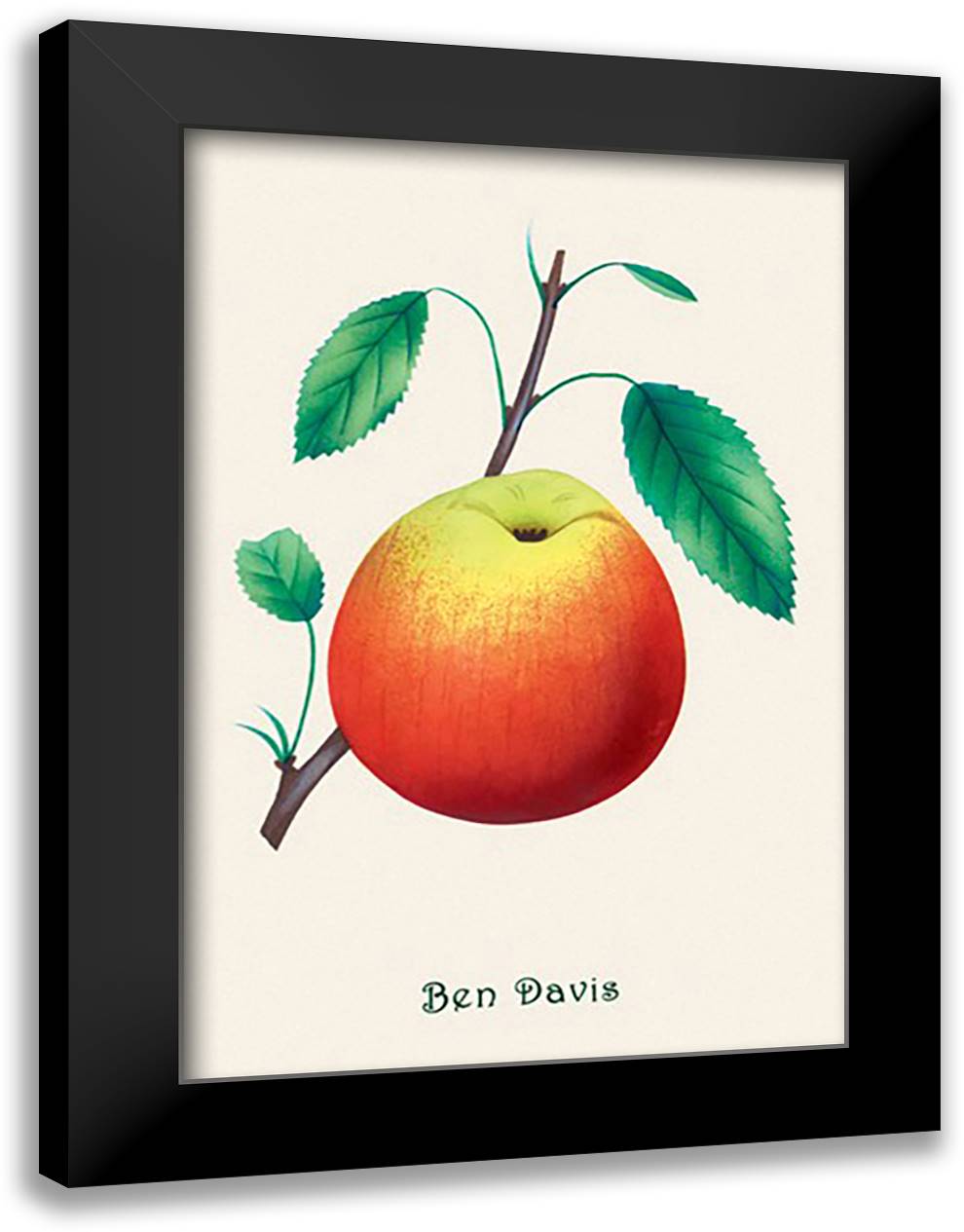 Ben Davis Orange 16x22 Black Modern Wood Framed Art Print Poster