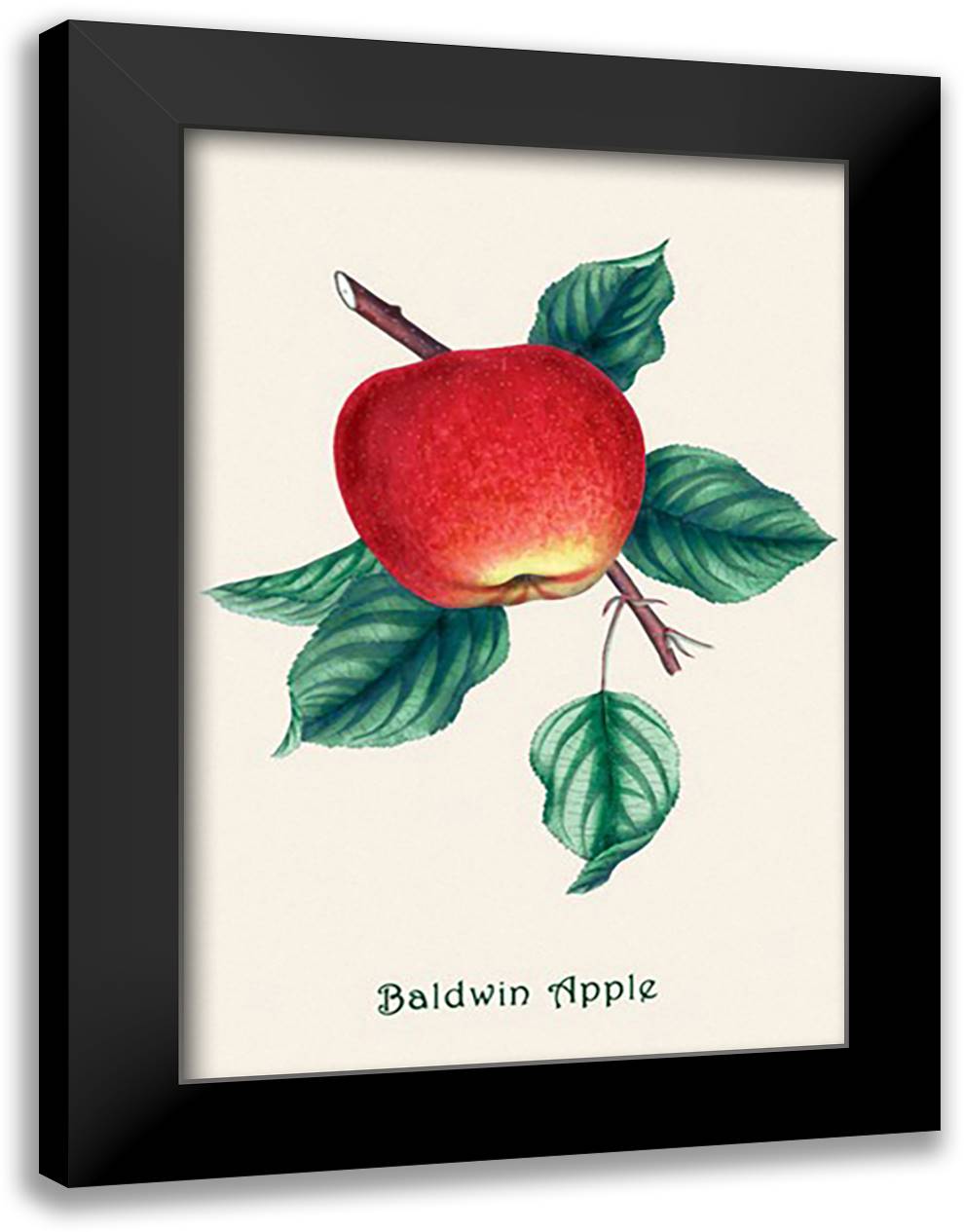 Baldwin Apple 16x22 Black Modern Wood Framed Art Print Poster