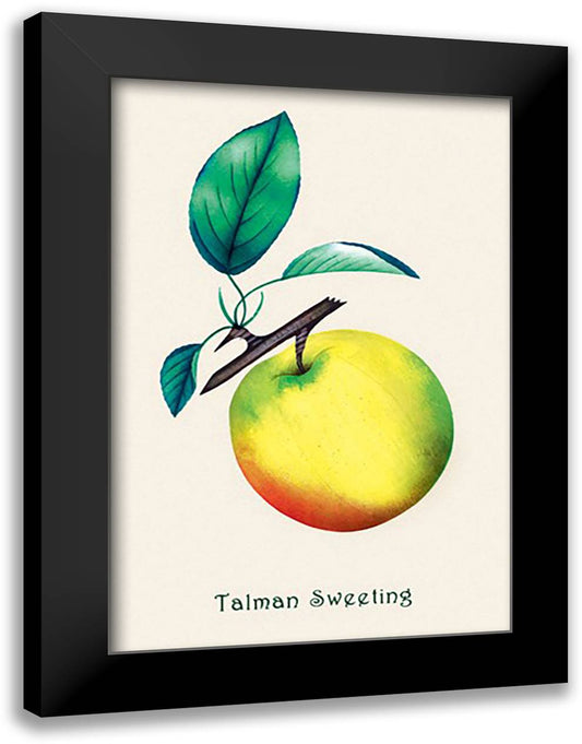 Talman Sweeting 16x22 Black Modern Wood Framed Art Print Poster