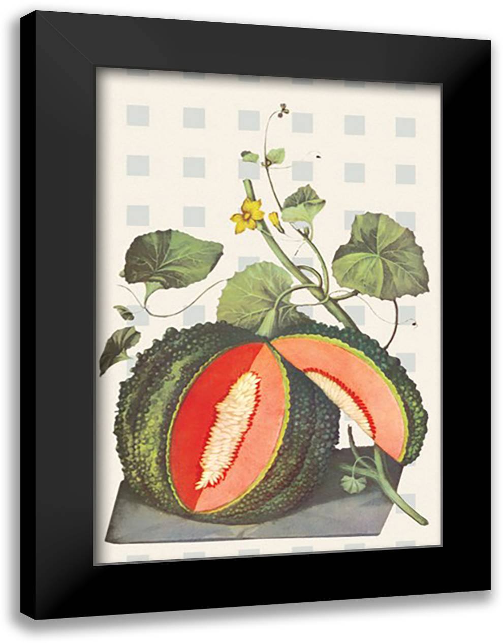 Pomona Britannica 16x22 Black Modern Wood Framed Art Print Poster