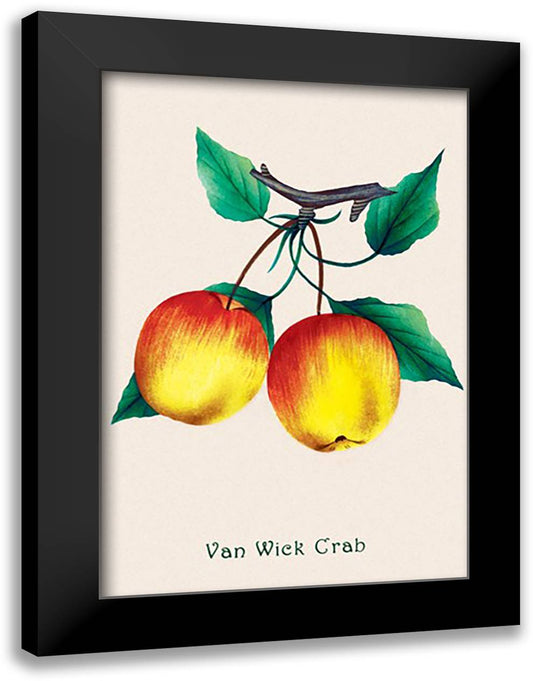 Van Wick Crab Apple 16x22 Black Modern Wood Framed Art Print Poster