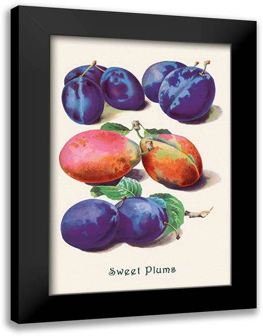 Sweet Plums 16x22 Black Modern Wood Framed Art Print Poster