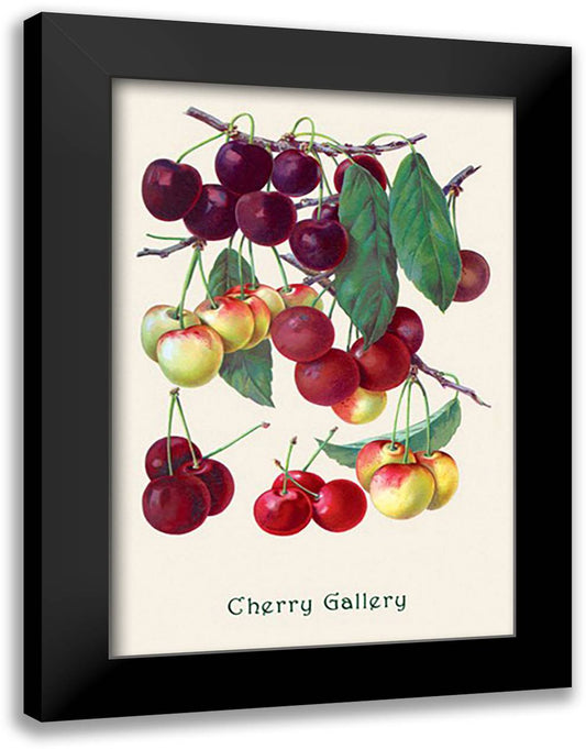 Cherry Gallery 16x22 Black Modern Wood Framed Art Print Poster