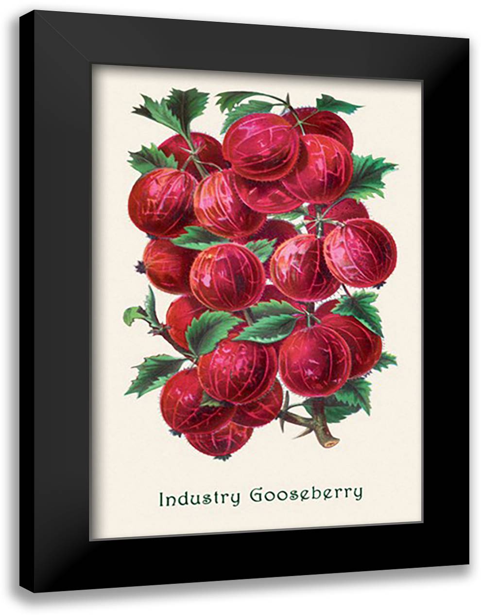 Industry Gooseberry 16x22 Black Modern Wood Framed Art Print Poster