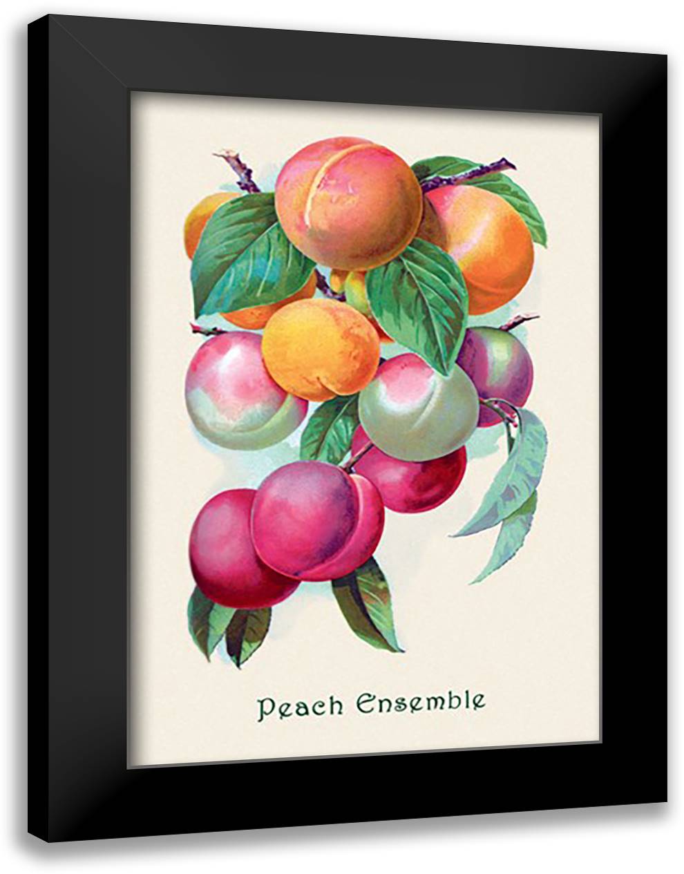 Peach Ensemble 16x22 Black Modern Wood Framed Art Print Poster
