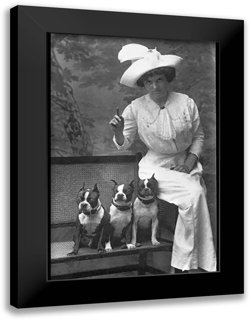 Mrs. Rhoades and Her Three Boston Terriers 16x22 Black Modern Wood Framed Art Print Poster