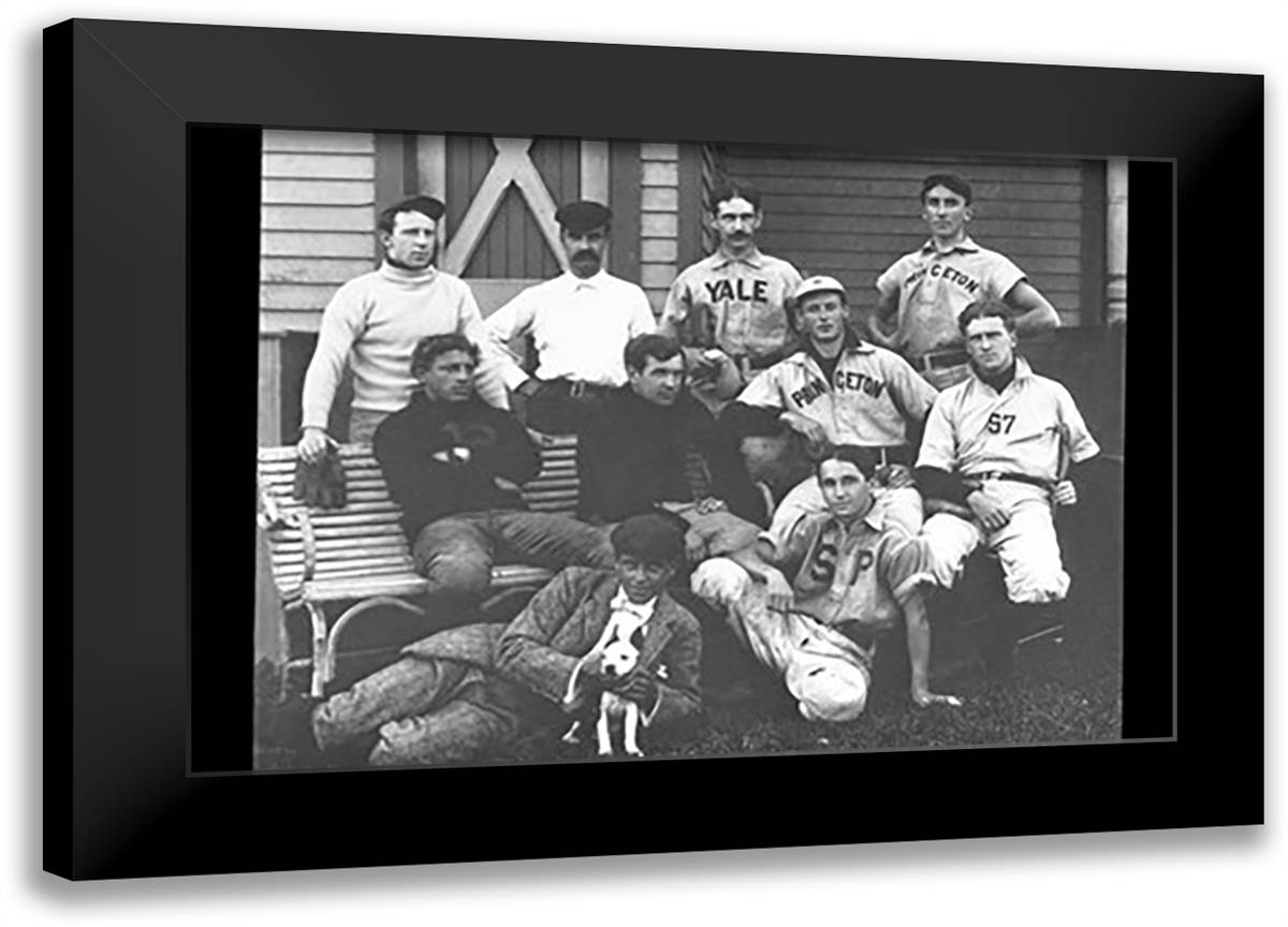 College Baseball Players with Terrier 22x16 Black Modern Wood Framed Art Print Poster