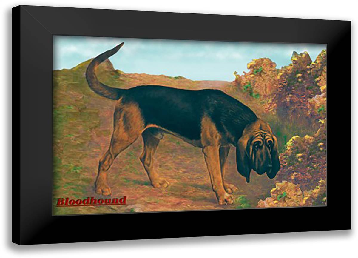 Bloodhound Champion 22x16 Black Modern Wood Framed Art Print Poster