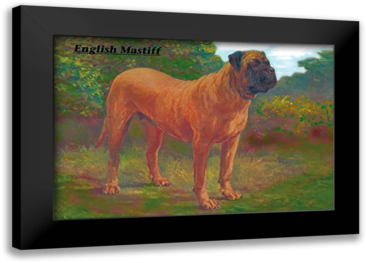 English Mastiff Champion 22x16 Black Modern Wood Framed Art Print Poster