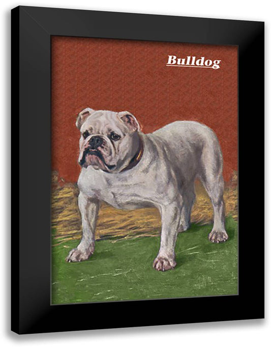 White Bulldog 16x22 Black Modern Wood Framed Art Print Poster