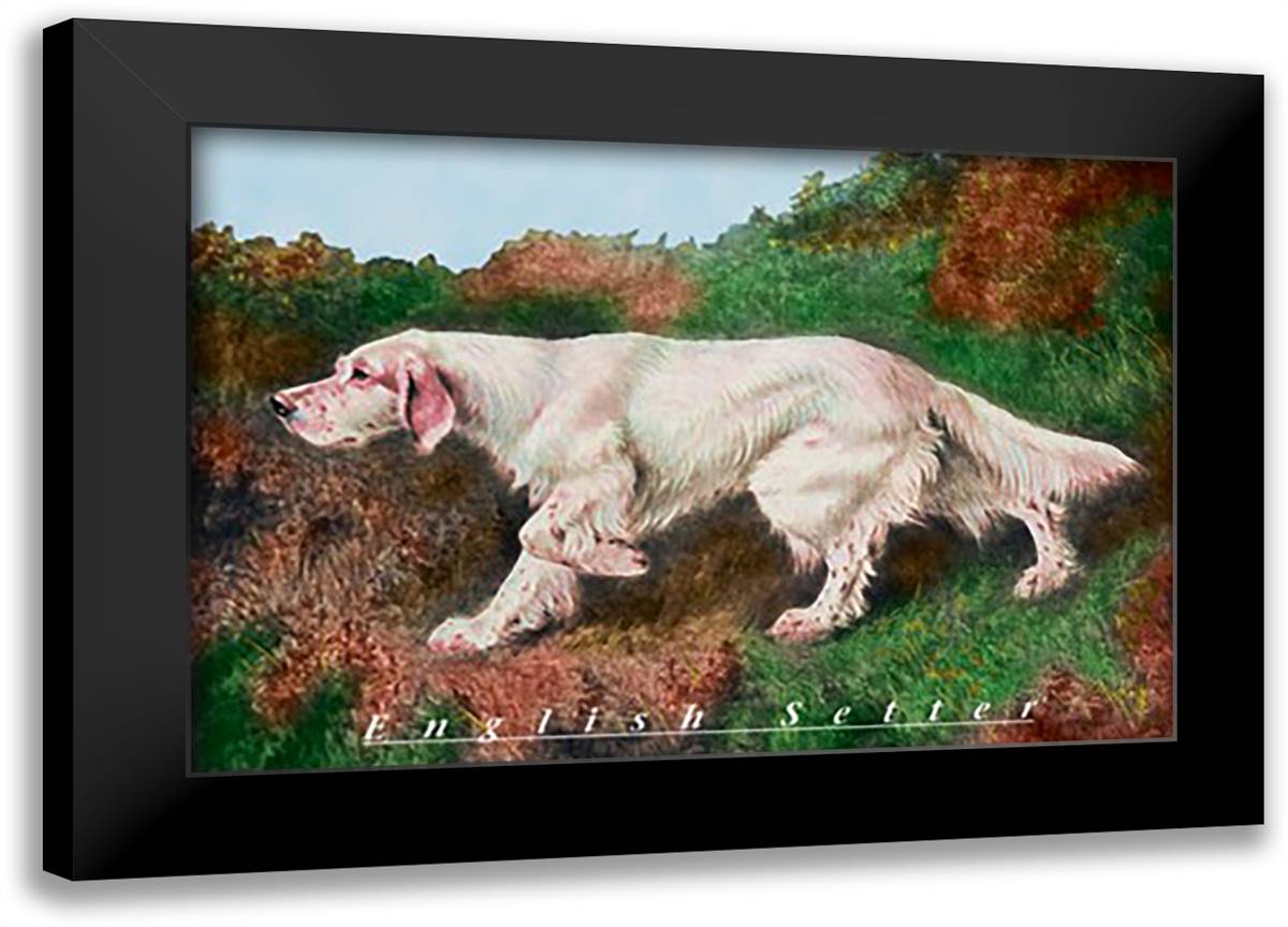 Typical English Setter 22x16 Black Modern Wood Framed Art Print Poster