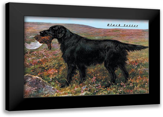 Black Setter 22x16 Black Modern Wood Framed Art Print Poster