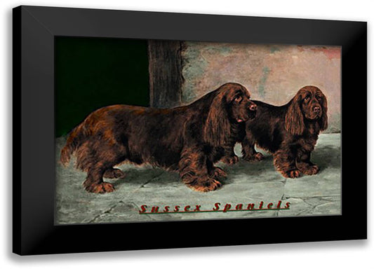 Two Champion Sussex Spaniels 22x16 Black Modern Wood Framed Art Print Poster