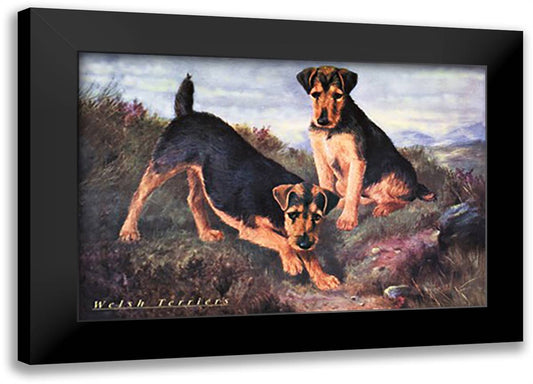 Two Welsh Terriers 22x16 Black Modern Wood Framed Art Print Poster