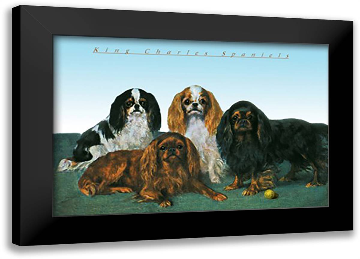 King Charles Spaniels 22x16 Black Modern Wood Framed Art Print Poster