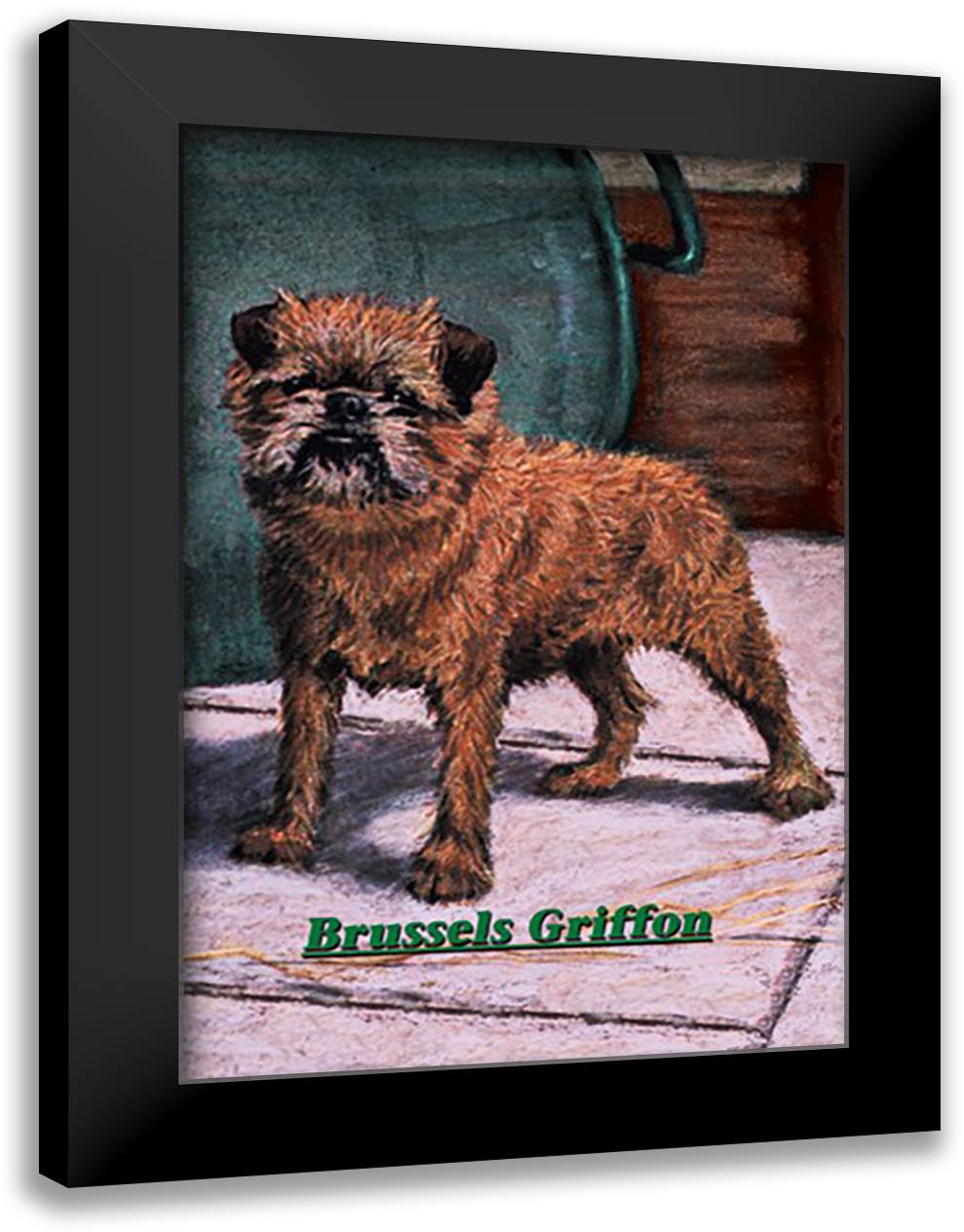 Typical Brussels Griffon Champion 16x22 Black Modern Wood Framed Art Print Poster