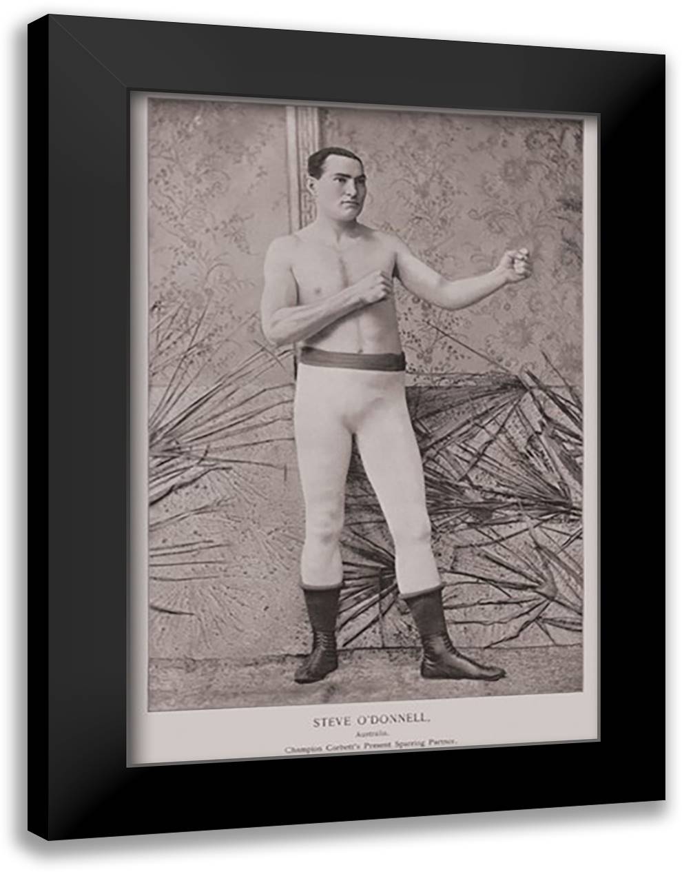 Steve O'Donnell - Australian Boxer 16x22 Black Modern Wood Framed Art Print Poster