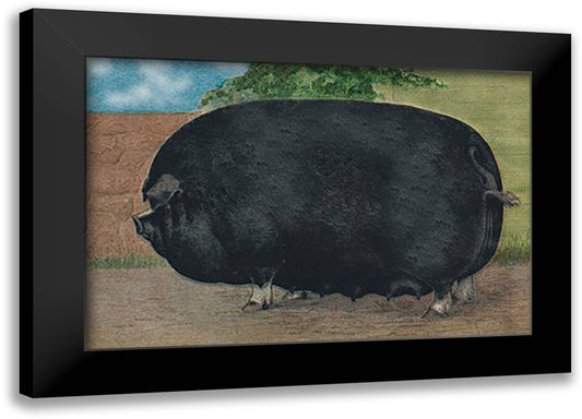 Champion Sow 22x16 Black Modern Wood Framed Art Print Poster