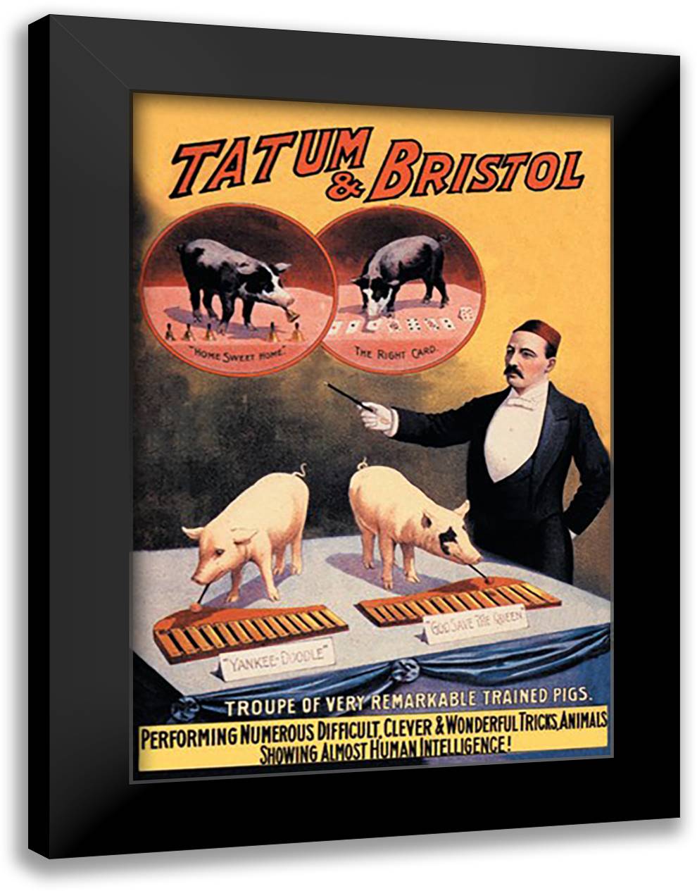 Tatum and Bristol's Troupe of Trained Pigs 16x22 Black Modern Wood Framed Art Print Poster