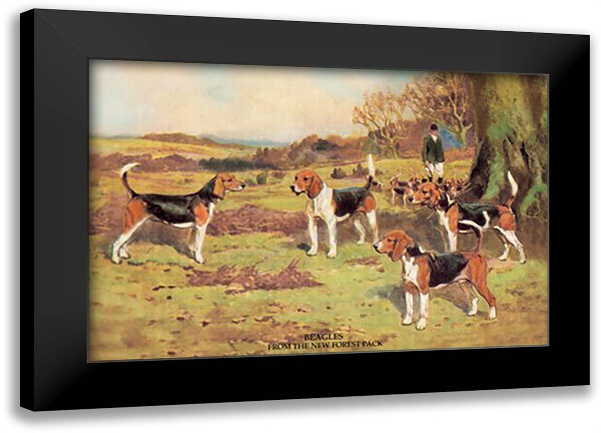 Beagles 22x16 Black Modern Wood Framed Art Print Poster