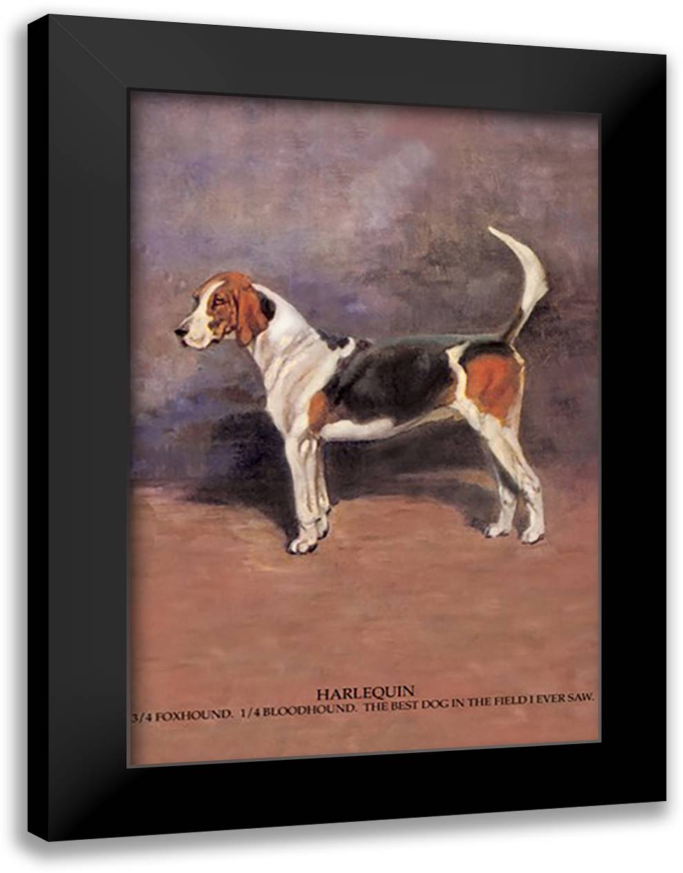 Harlequin 16x22 Black Modern Wood Framed Art Print Poster