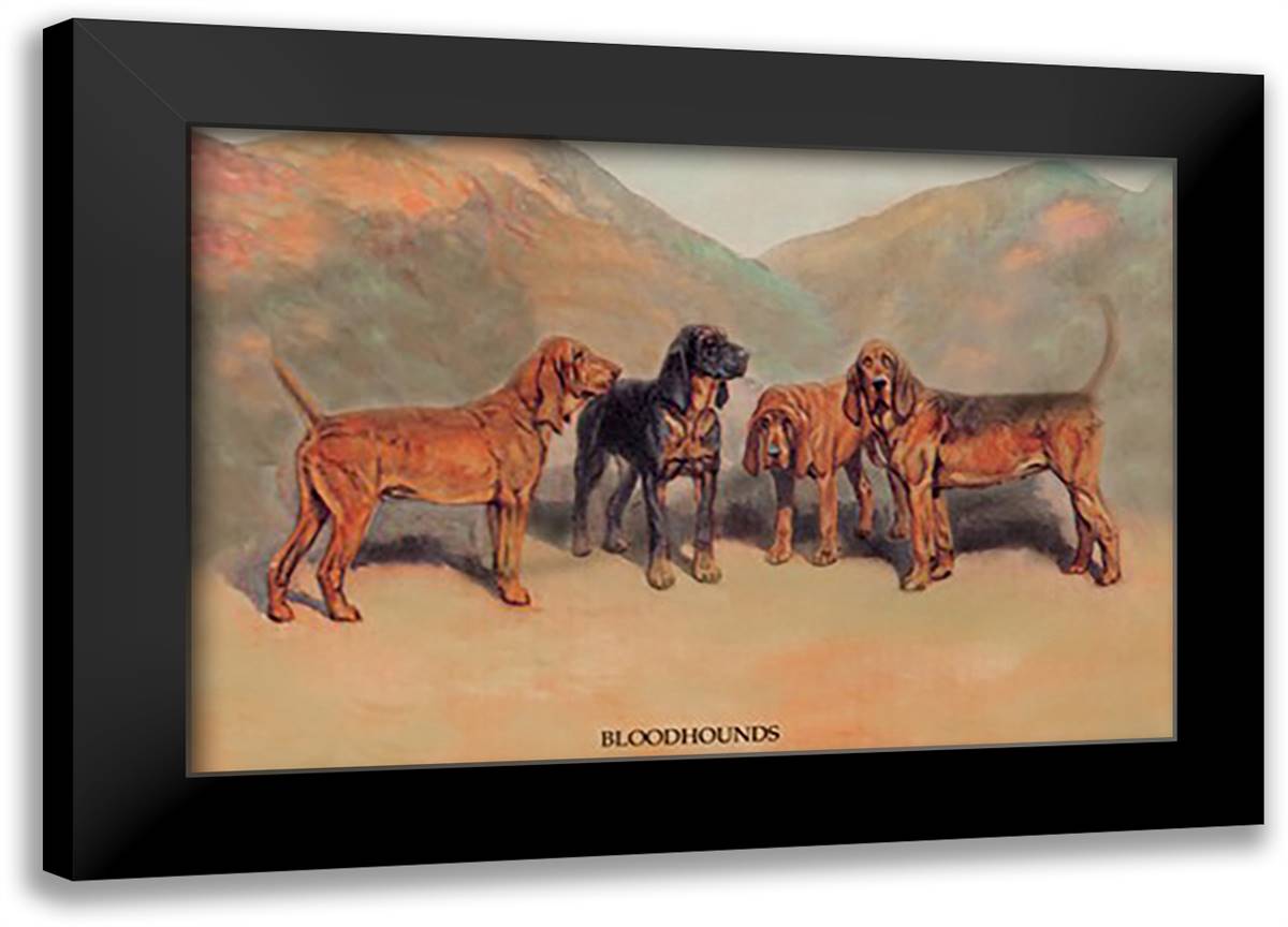 Bloodhounds 22x16 Black Modern Wood Framed Art Print Poster