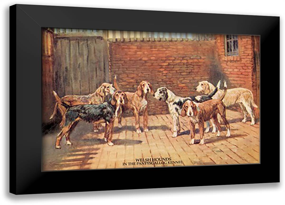 Welsh Hounds 22x16 Black Modern Wood Framed Art Print Poster