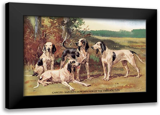 Gascon-Saintongeois Hounds of the Virelade Type 22x16 Black Modern Wood Framed Art Print Poster