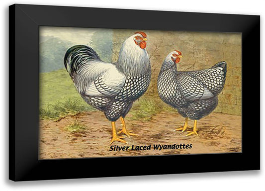 Silver Laced Wyandottes 22x16 Black Modern Wood Framed Art Print Poster