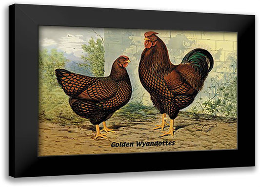 Golden Wyandottes 22x16 Black Modern Wood Framed Art Print Poster