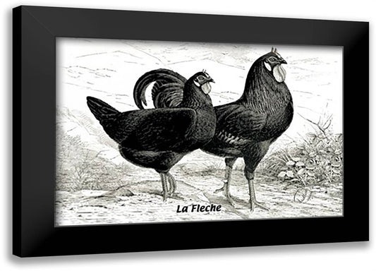 Fleche (Chickens) 22x16 Black Modern Wood Framed Art Print Poster
