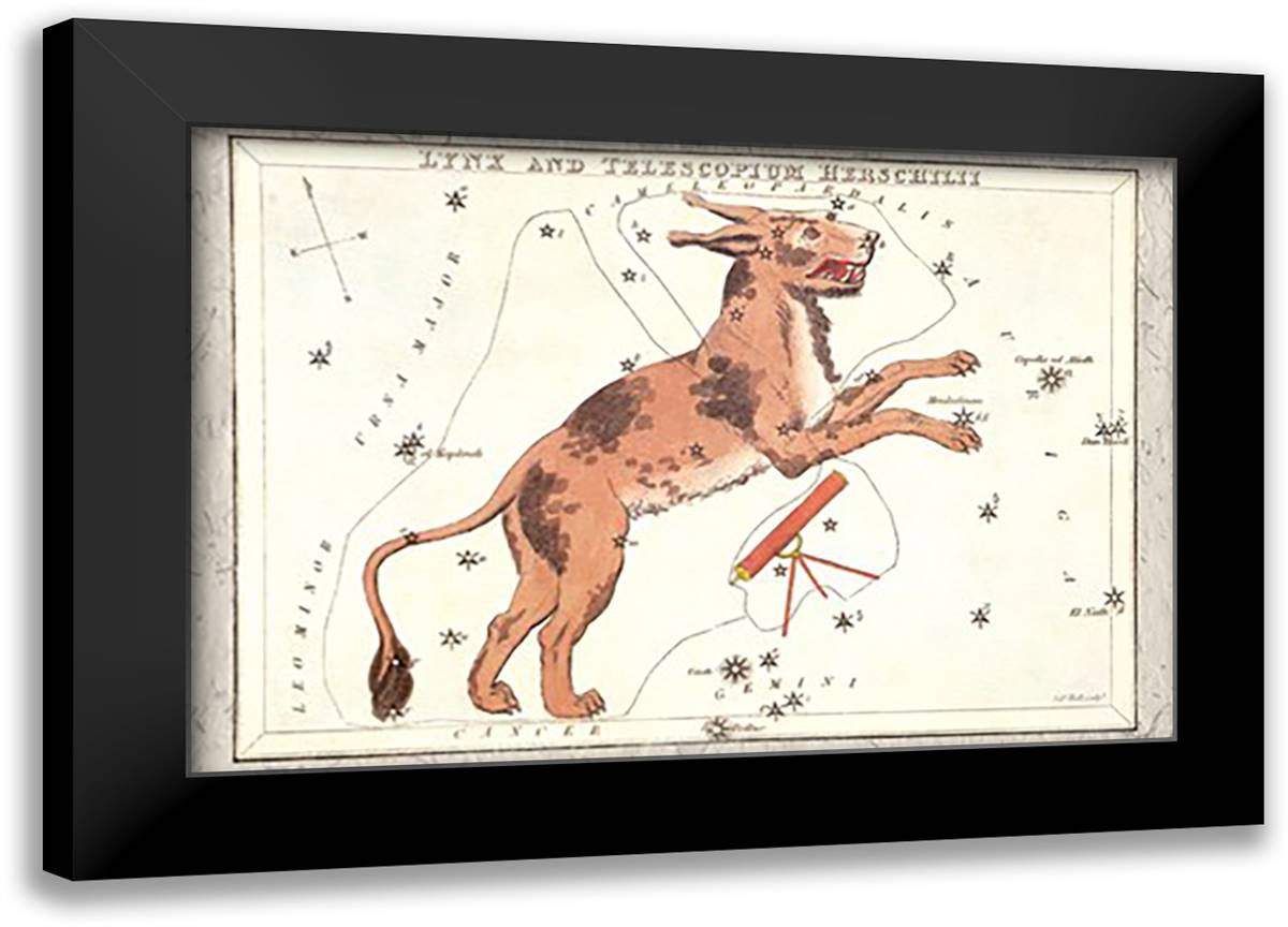 Constellation of Lynx 22x16 Black Modern Wood Framed Art Print Poster