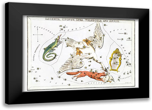 Cygnus and Adjacent Constellations 22x16 Black Modern Wood Framed Art Print Poster