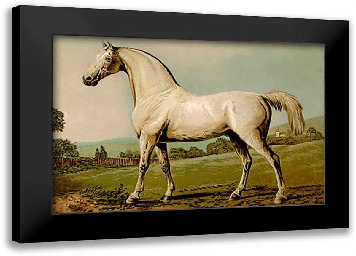 Mambrino 22x16 Black Modern Wood Framed Art Print Poster by Sidney, S.