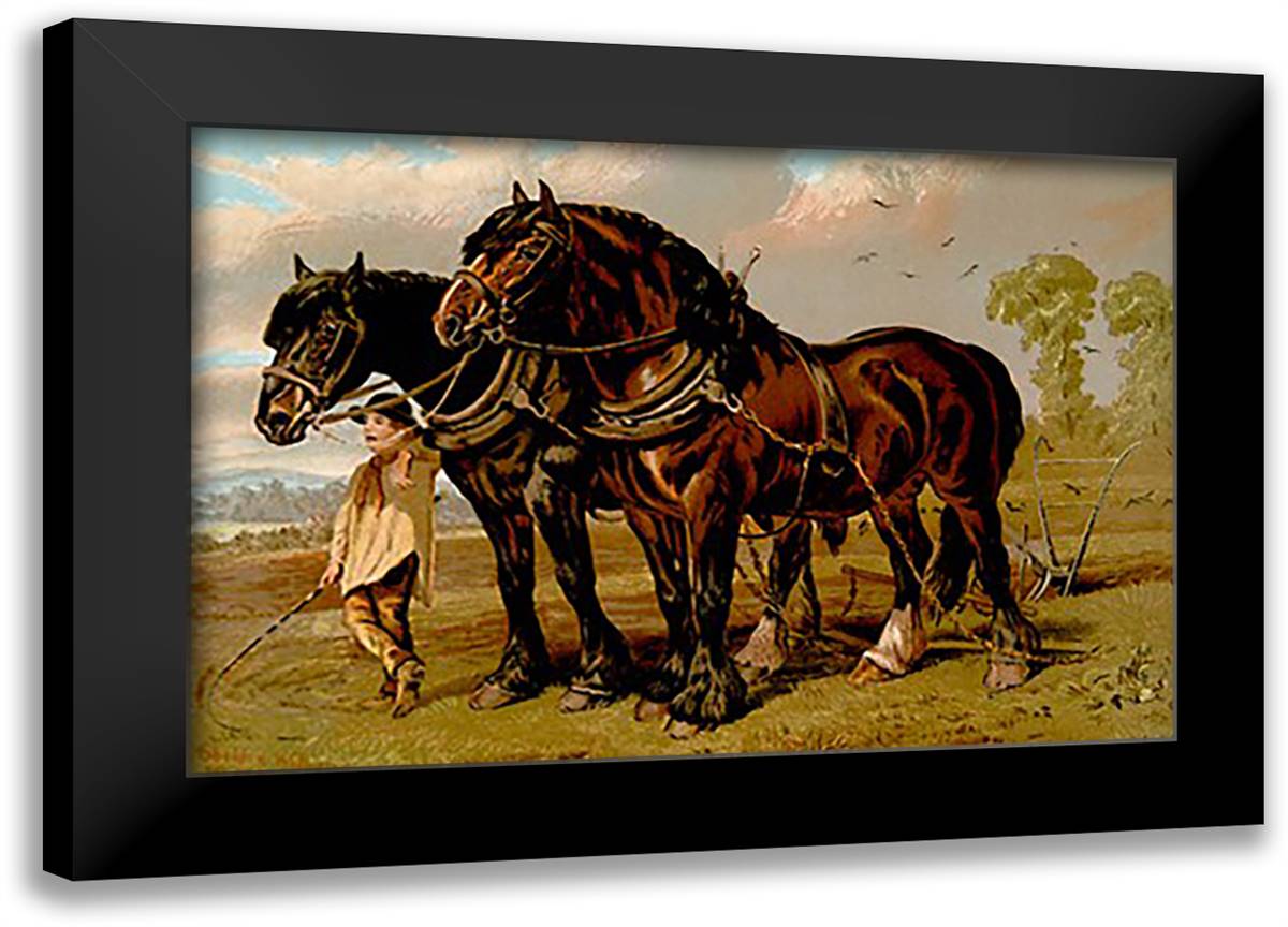 Clydesdale Stallion & Mare 22x16 Black Modern Wood Framed Art Print Poster by Sidney, S.