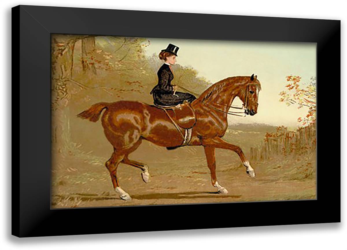 Book of the Horse 22x16 Black Modern Wood Framed Art Print Poster by Sidney, S.