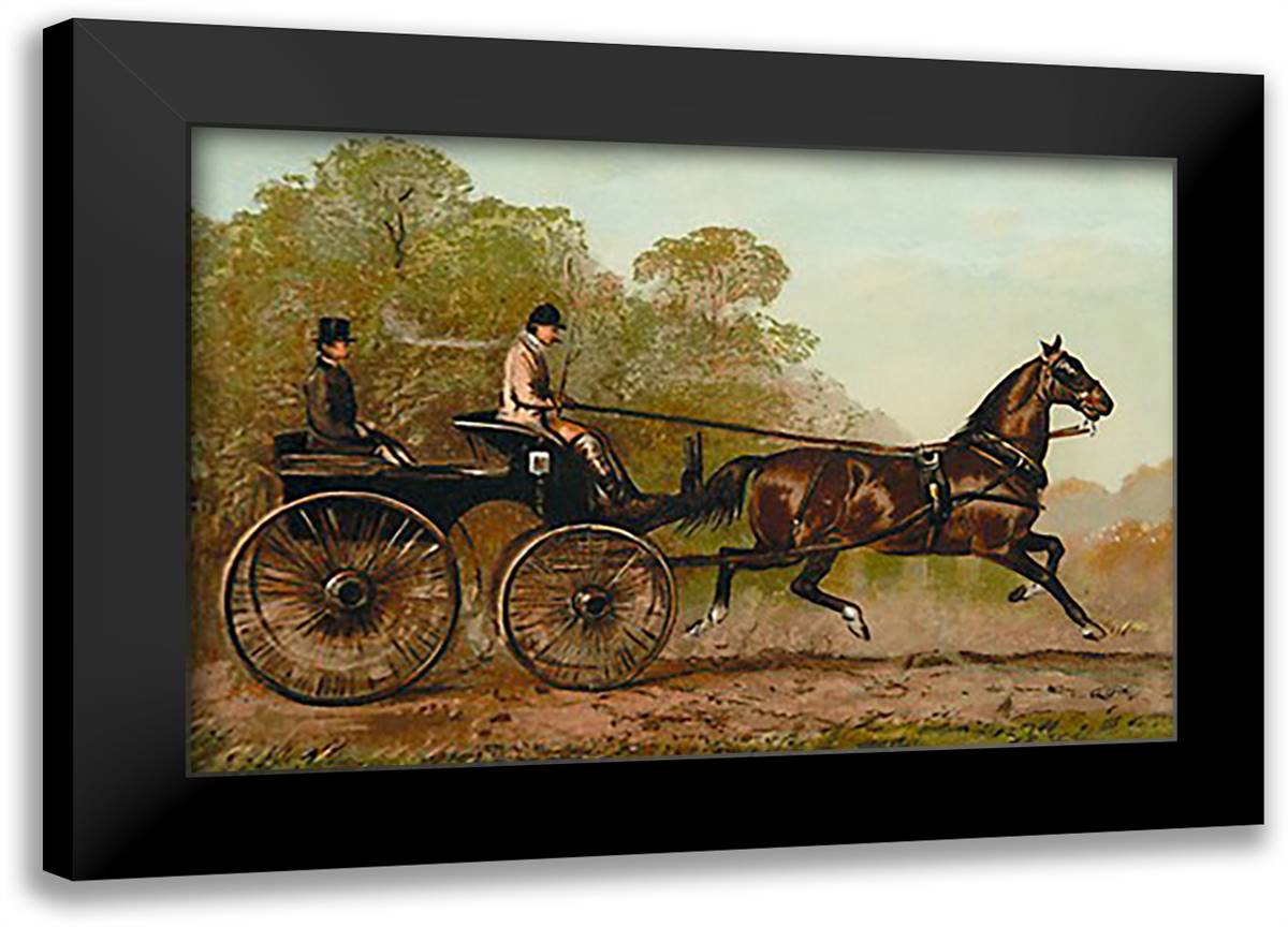 Columbine 22x16 Black Modern Wood Framed Art Print Poster by Sidney, S.