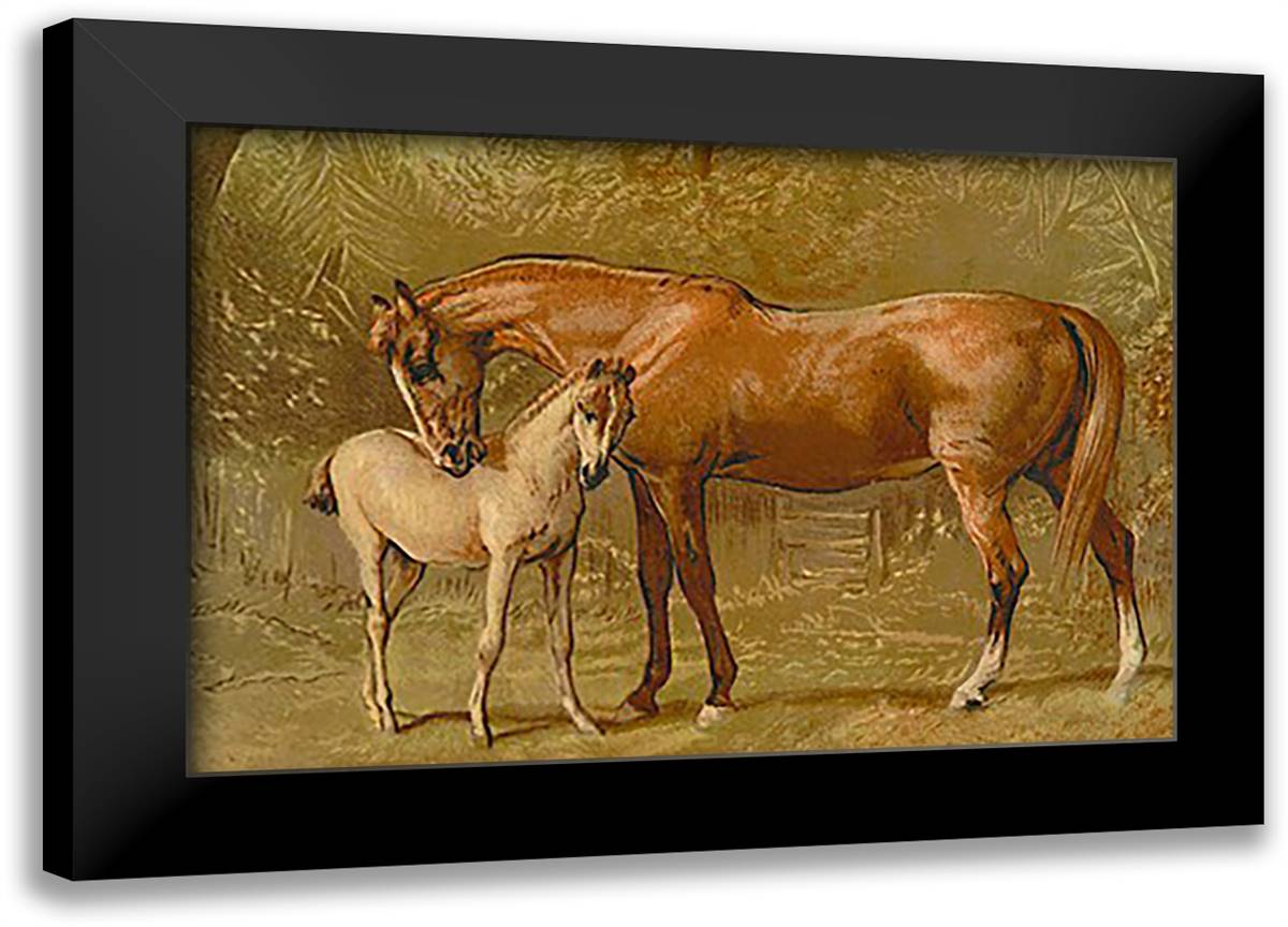 Thoroughbred Mare and Foal 22x16 Black Modern Wood Framed Art Print Poster by Sidney, S.