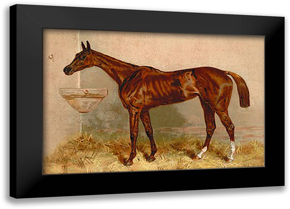 Emblem, Steeplechase Mare 22x16 Black Modern Wood Framed Art Print Poster by Sidney, S.