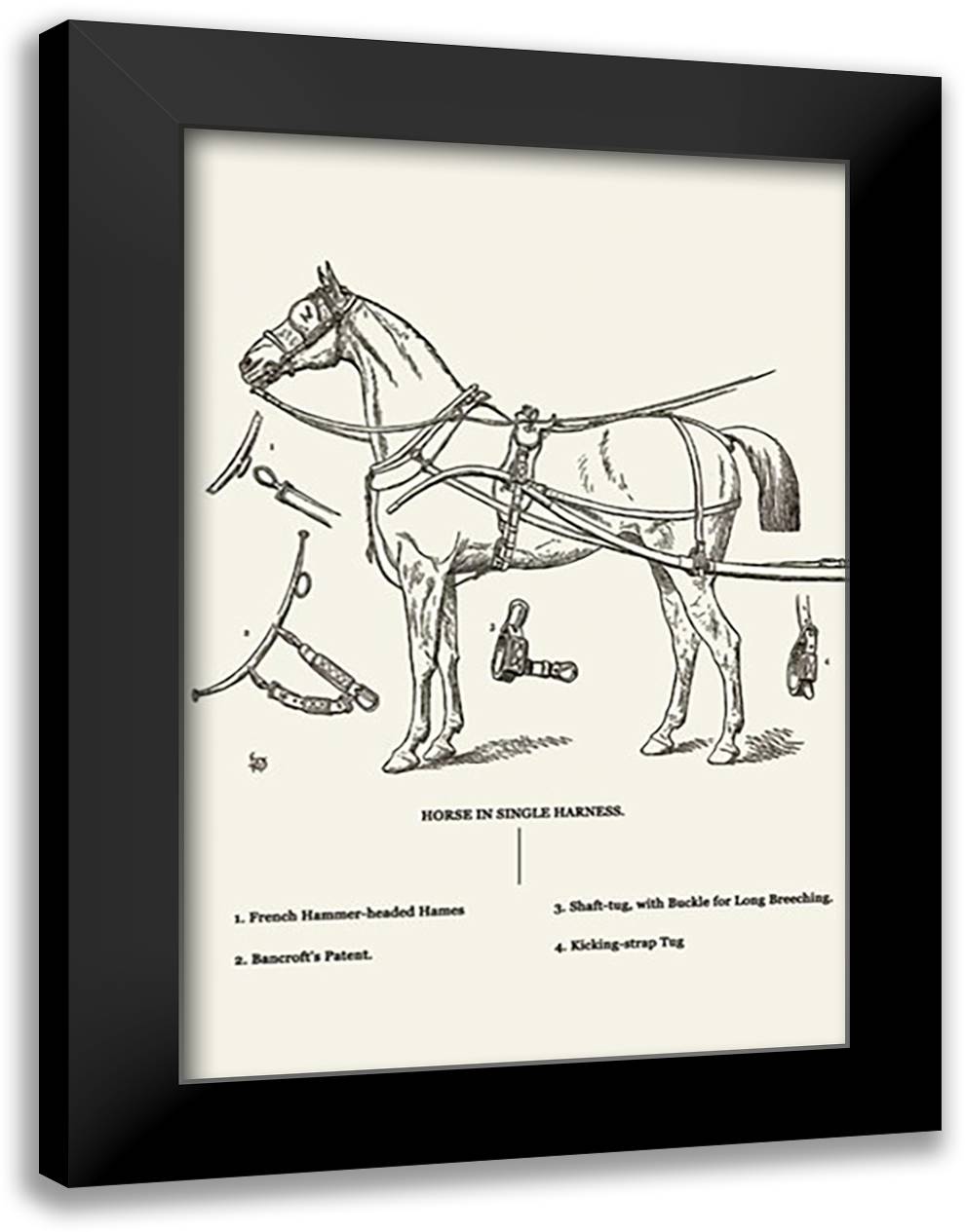 Single Harness Horse 16x22 Black Modern Wood Framed Art Print Poster by Sidney, S.