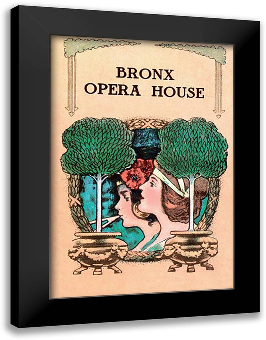 Bronx Opera House 16x22 Black Modern Wood Framed Art Print Poster