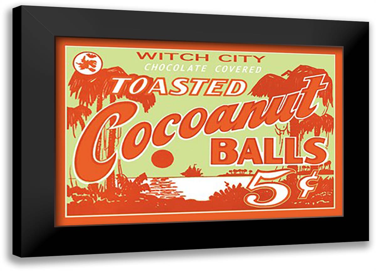 Toasted Cocoanut Balls #1 22x16 Black Modern Wood Framed Art Print Poster