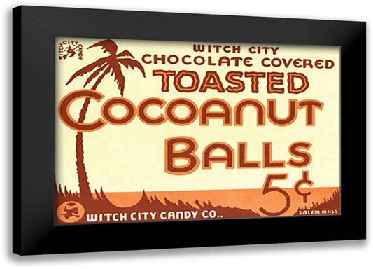 Toasted Cocoanut Balls #2 22x16 Black Modern Wood Framed Art Print Poster