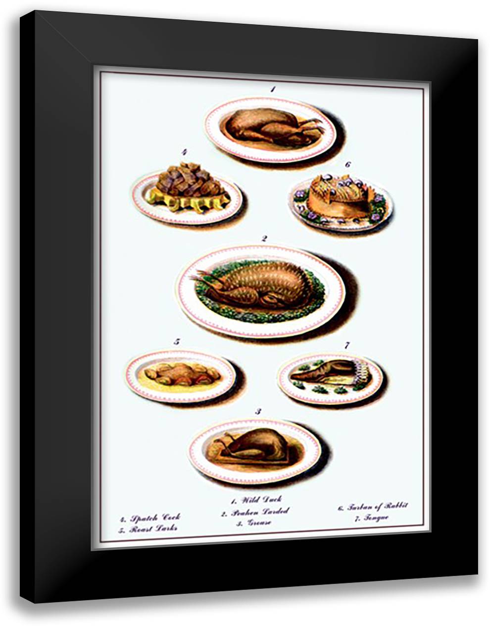 Wild Fowl and Such 16x22 Black Modern Wood Framed Art Print Poster by Krowheim