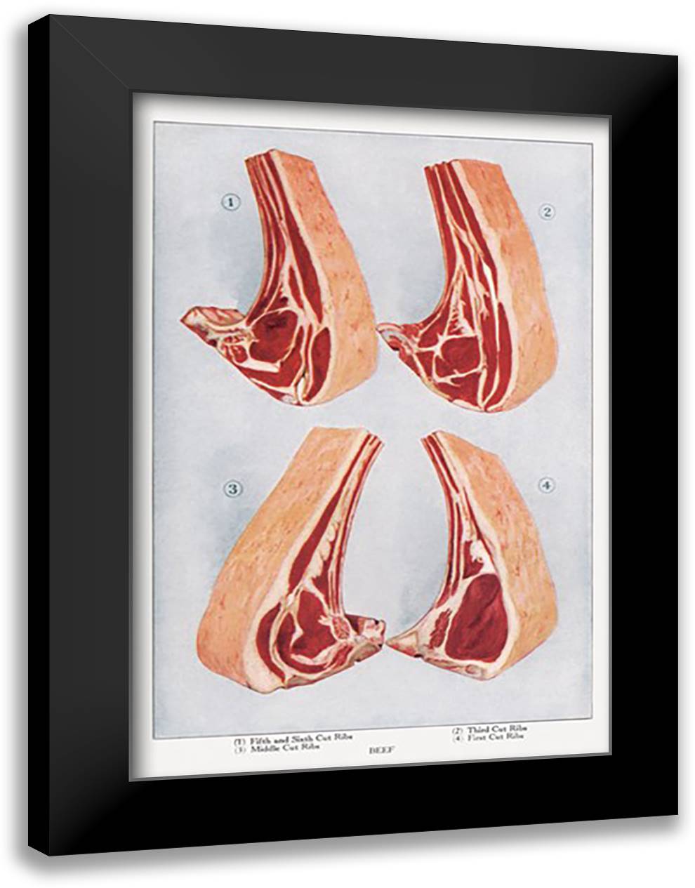 Beef: Ribs 16x22 Black Modern Wood Framed Art Print Poster